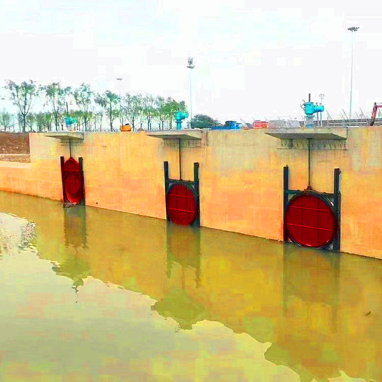 ���{��ˮ���T